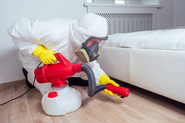 Real Estate Pest Inspections in Coats, NC